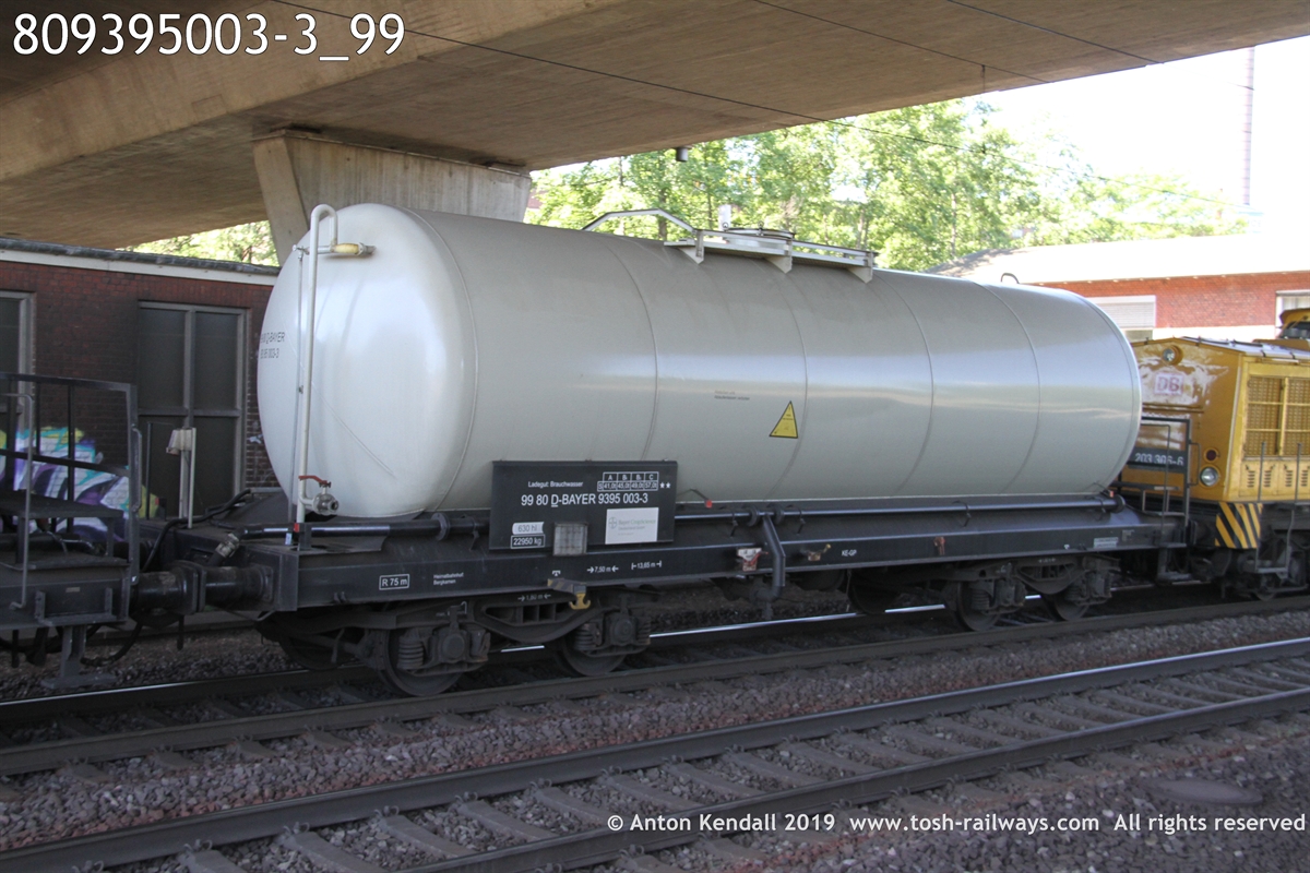 809395003-3_99.JPG